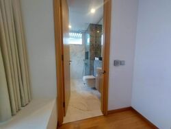 The Peak @ Cairnhill II (D9), Apartment #624218501